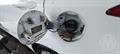 Lazy Owl Image