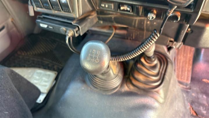 Lazy Owl Image