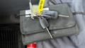 Lazy Owl Image