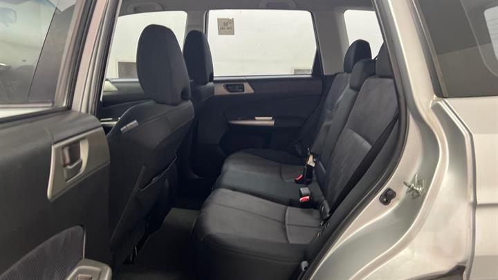 Lazy Owl Image