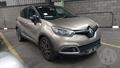 Lazy Owl Image