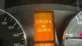 Lazy Owl Image