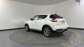 Lazy Owl Image