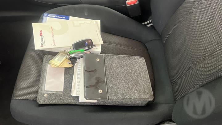 Lazy Owl Image
