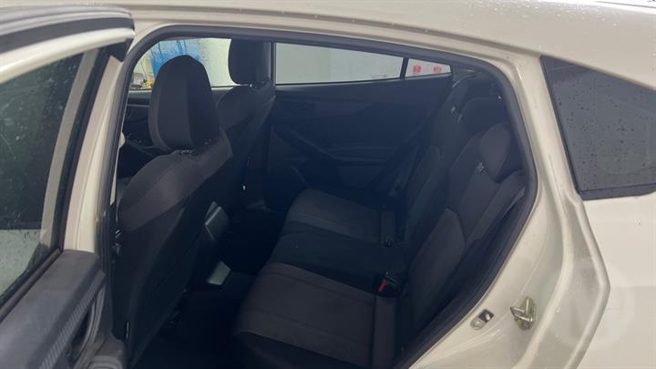Lazy Owl Image
