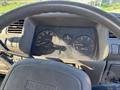 Lazy Owl Image