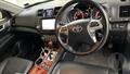 Lazy Owl Image