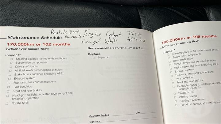 Lazy Owl Image