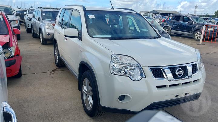 Lazy Owl Image