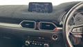 Lazy Owl Image