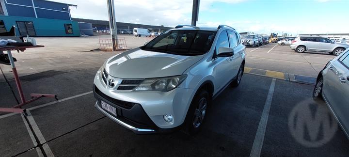Lazy Owl Image