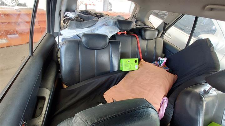 Lazy Owl Image