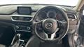 Lazy Owl Image