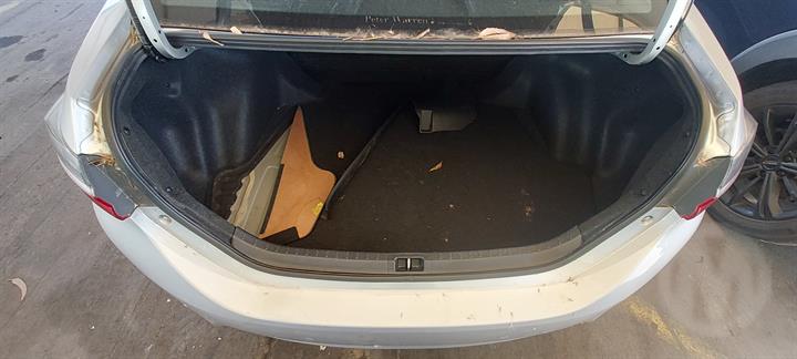 Lazy Owl Image