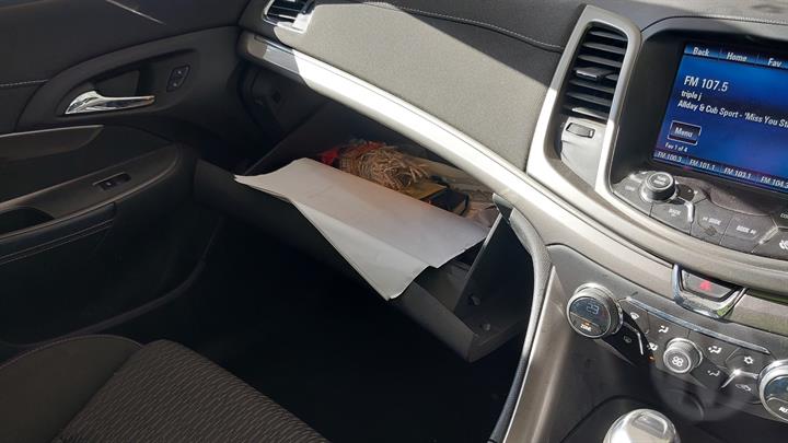 Lazy Owl Image