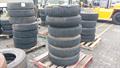Lazy Owl Image