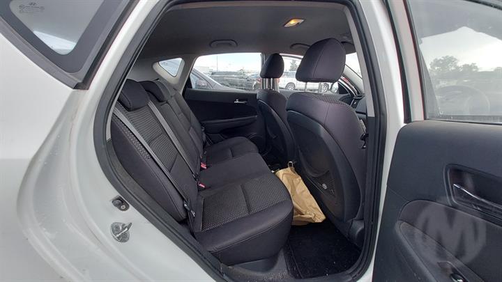 Lazy Owl Image