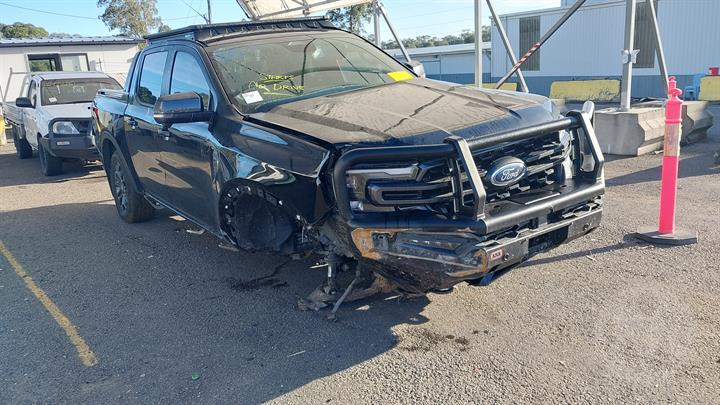 Lazy Owl Image