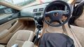 Lazy Owl Image