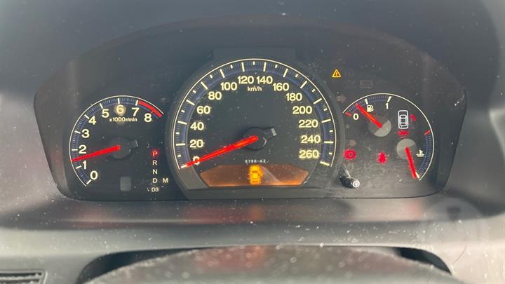 Lazy Owl Image