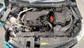 Lazy Owl Image