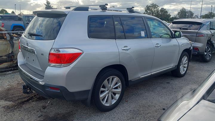 Lazy Owl Image