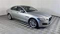 Lazy Owl Image