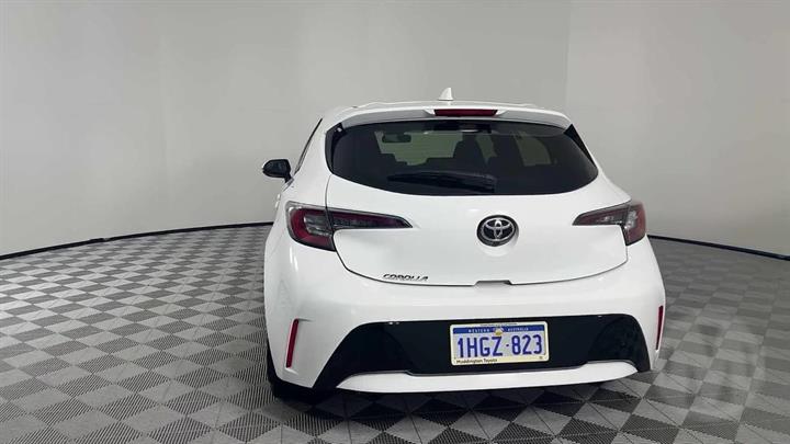 Lazy Owl Image