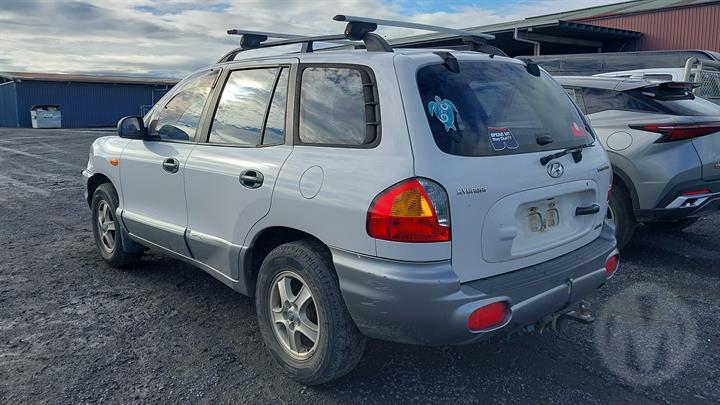 Lazy Owl Image