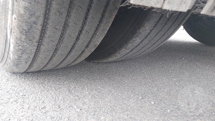 Lazy Owl Image