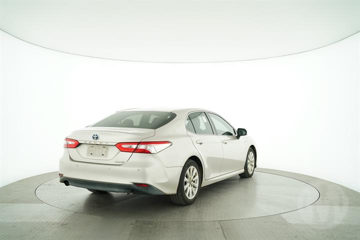 Lazy Owl Image