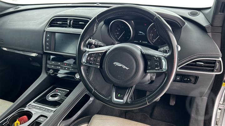 Lazy Owl Image