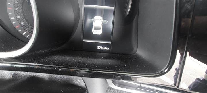 Lazy Owl Image