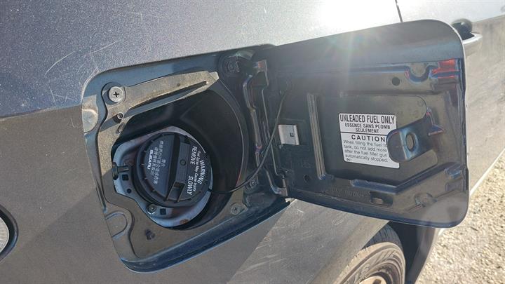 Lazy Owl Image