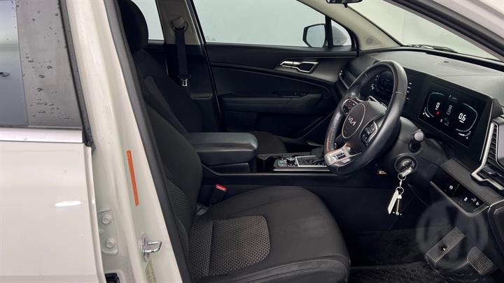 Lazy Owl Image