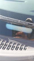 Lazy Owl Image