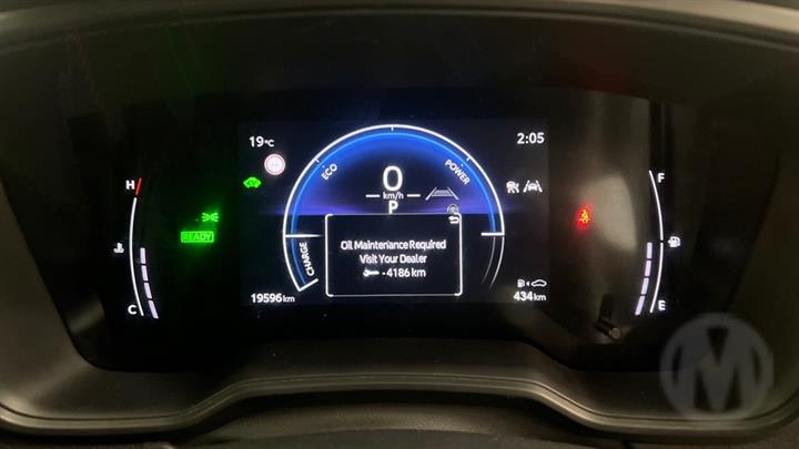 Lazy Owl Image