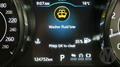 Lazy Owl Image