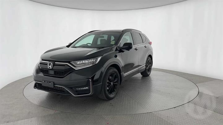 Lazy Owl Image