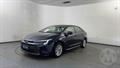 Lazy Owl Image