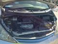 Lazy Owl Image