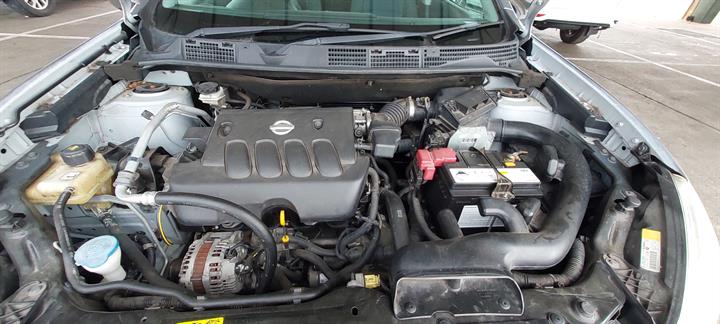 Lazy Owl Image