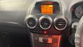 Lazy Owl Image