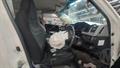 Lazy Owl Image