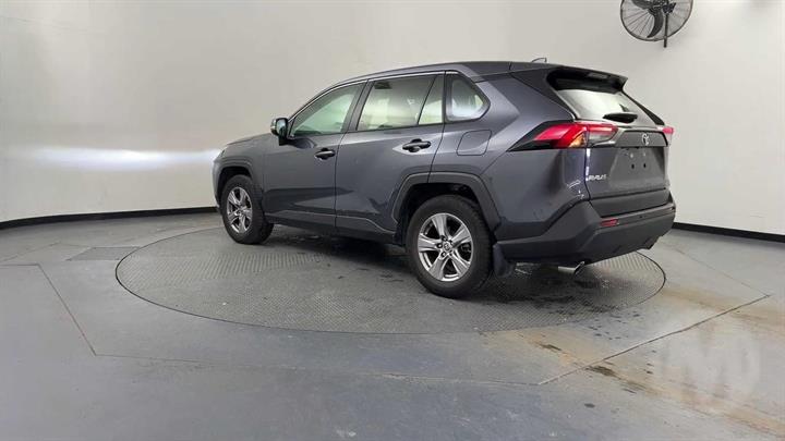 Lazy Owl Image
