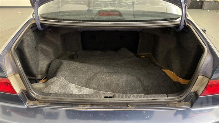 Lazy Owl Image