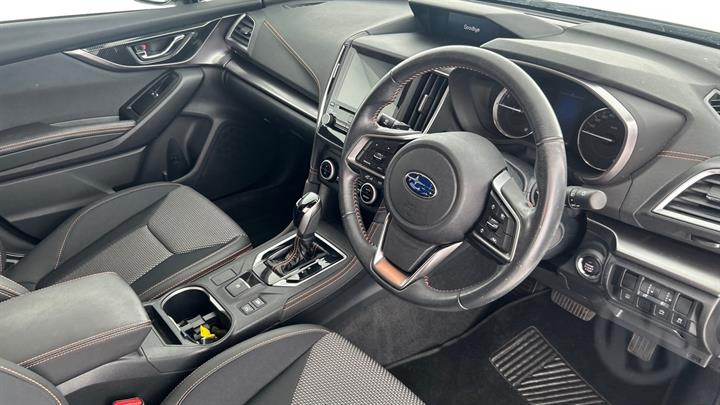 Lazy Owl Image