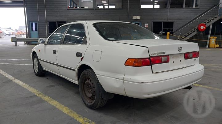 Lazy Owl Image