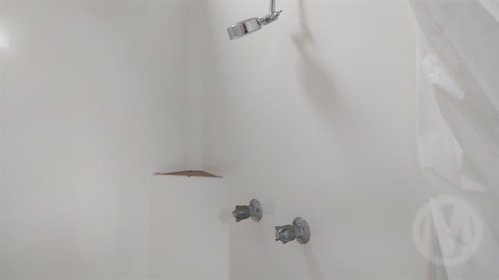 Lazy Owl Image