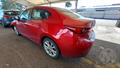 Lazy Owl Image